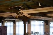 museum voor natuurwetenschappen brussel 11-2022 5537